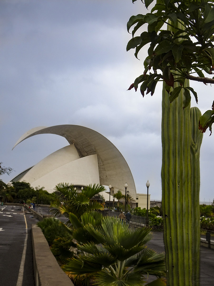 santa cruz de tenerife
