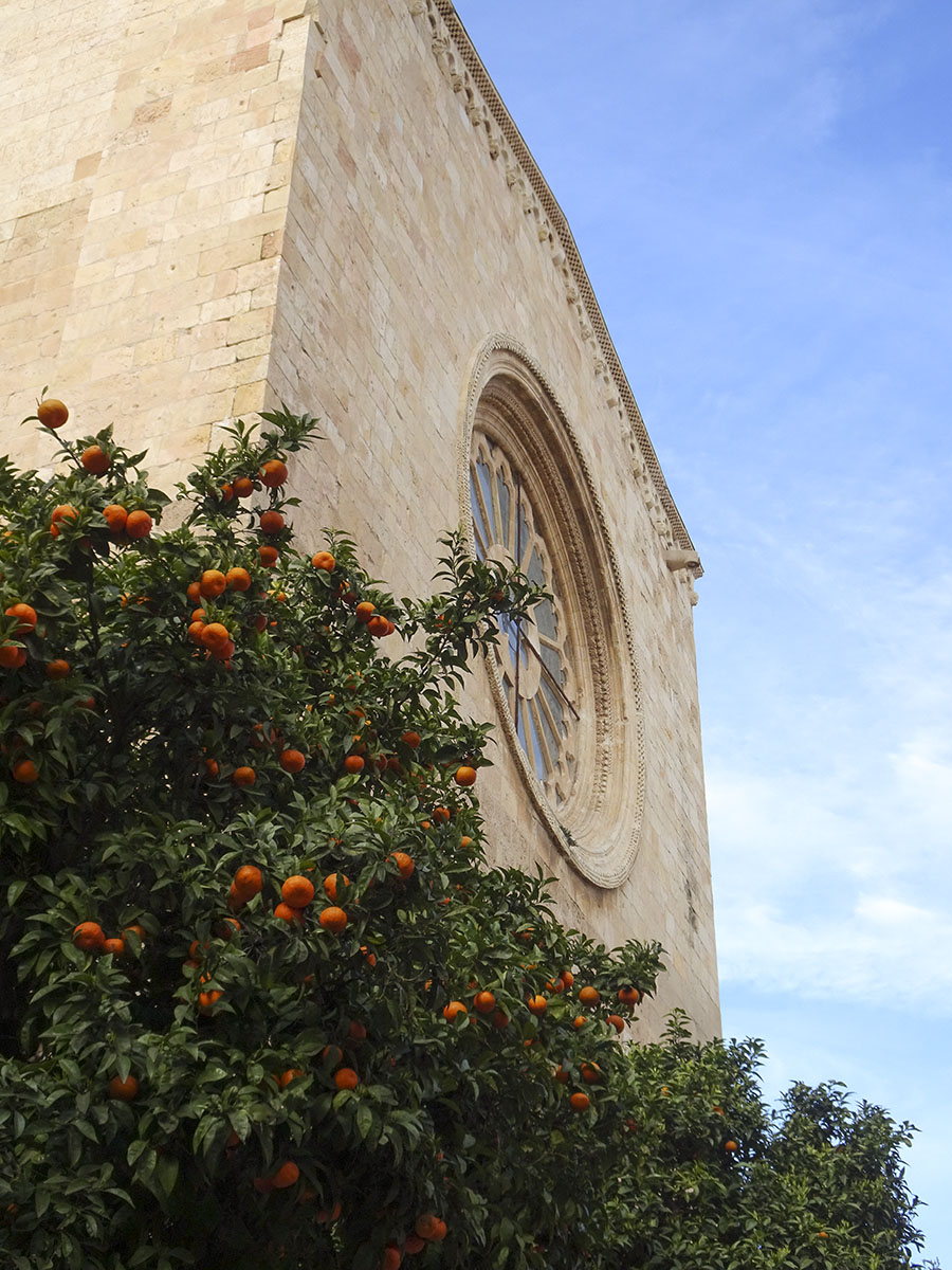 fachada catedral