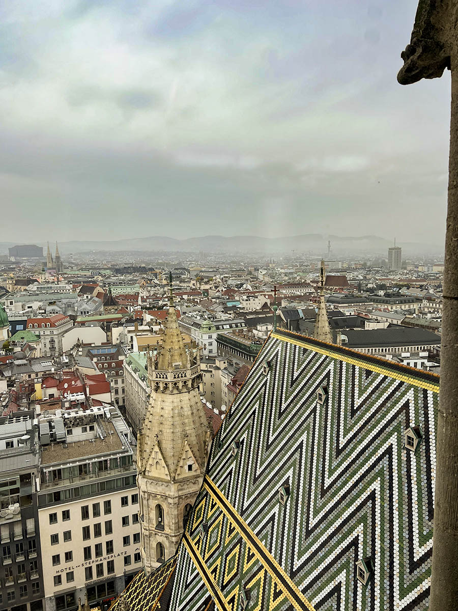 vistas desde la catedral de viena