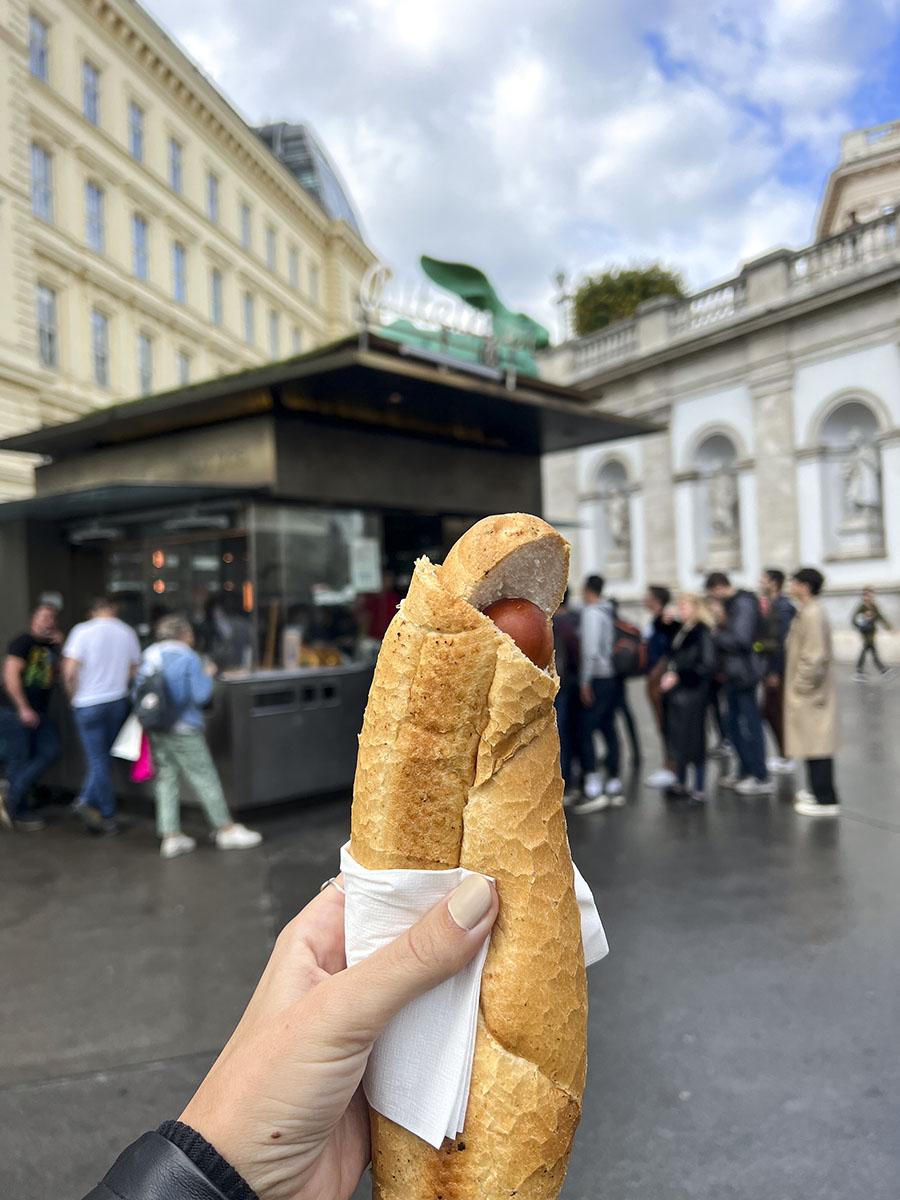 Frankfurt comida típica Viena