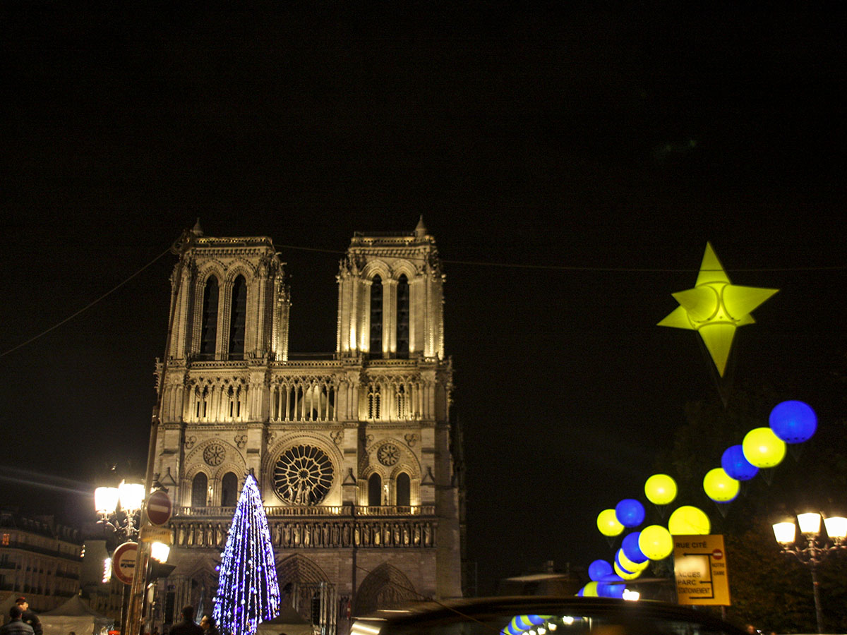 Notre-Dame iluminada de noche en navidad
