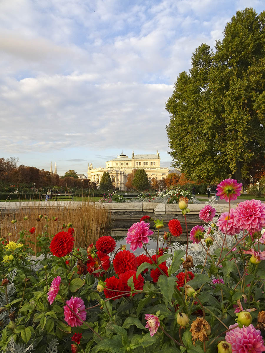 flores en el volksgarten